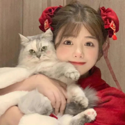 糖宝🍁🧡