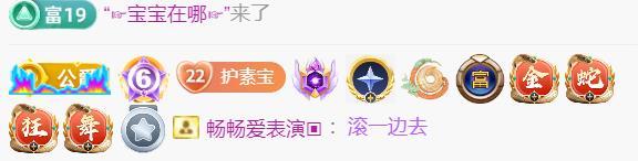 素雪恭贺飞总荣升的图片