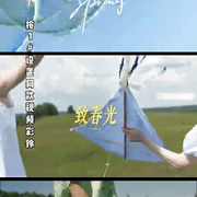 三花三草一叶