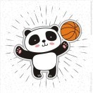 熊猫（国宝）🐼