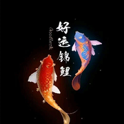 昌旭Z