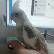 晴天🎊