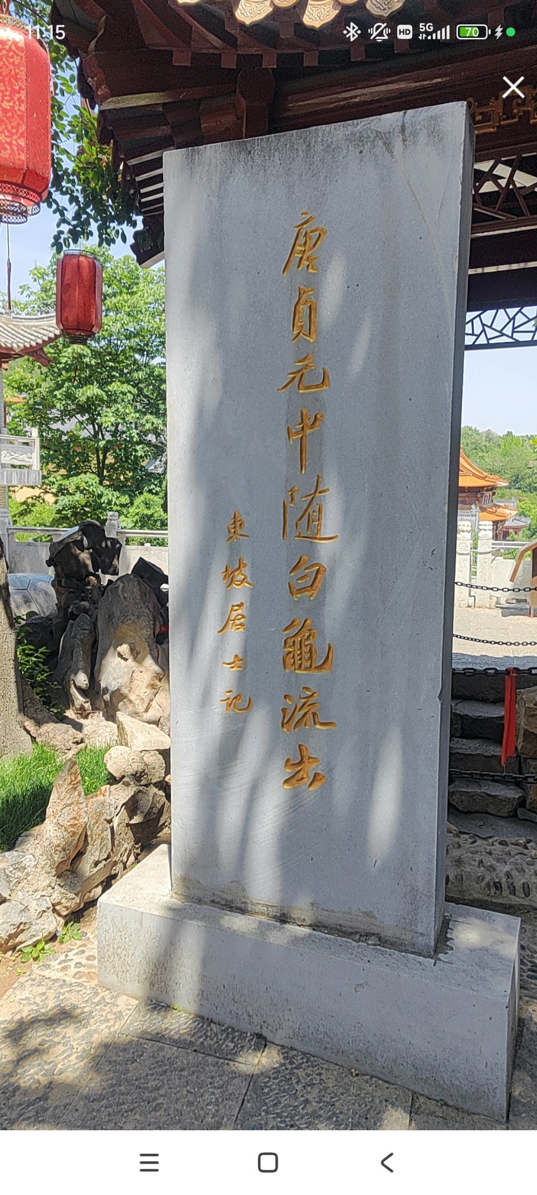 婷婷💕感恩有你陪伴的图片