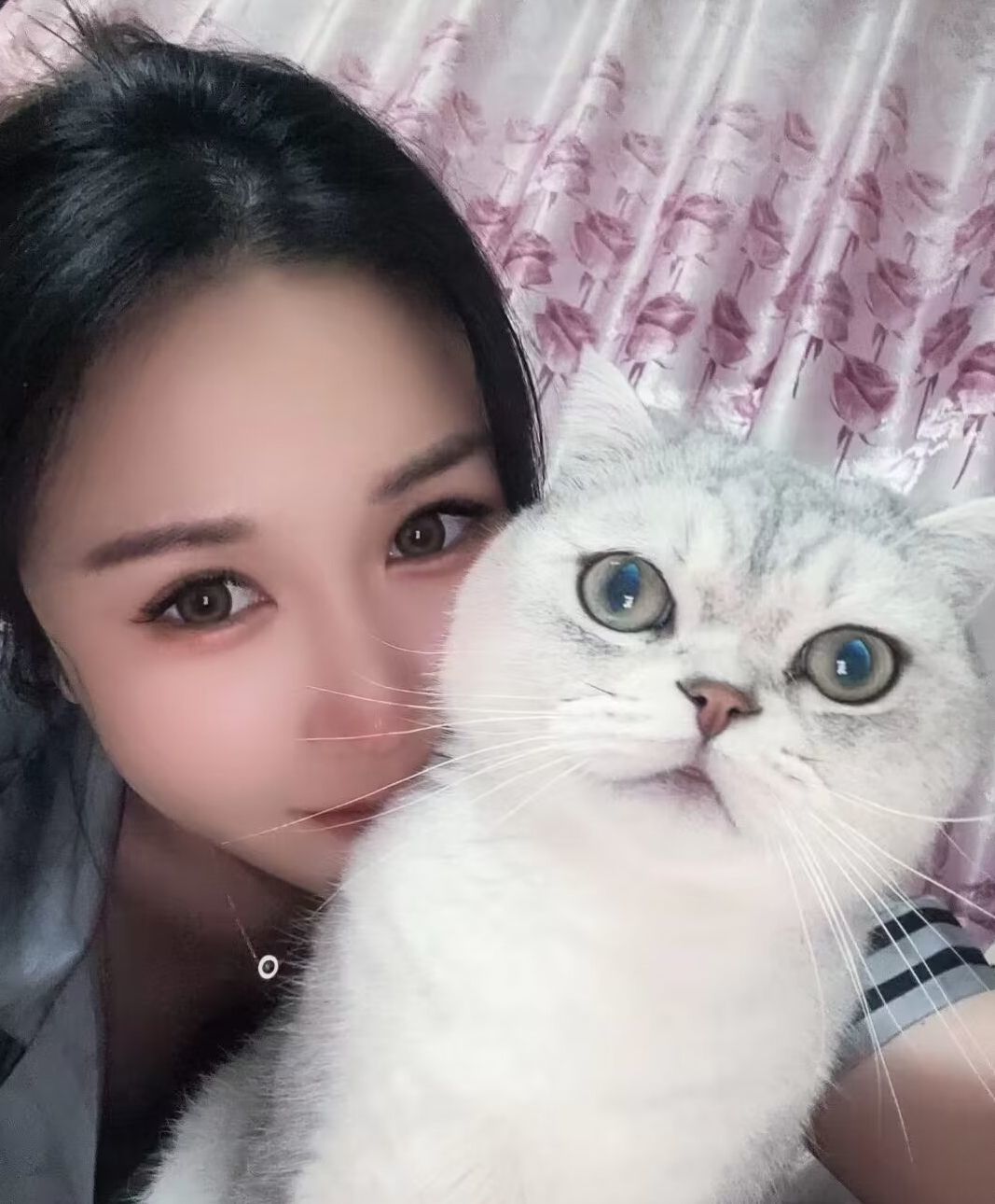 南熹🎏晨光熹微的图片