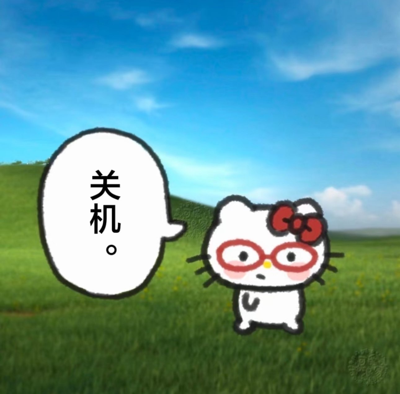 幸运饱饱的图片