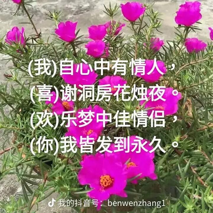 479hopsz!*主播图片