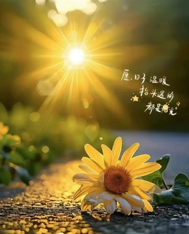 倾颜🐾挣点币子吧主播照片