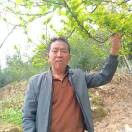 彭老头4