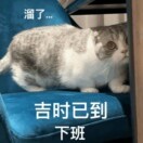 70公里（有两只神兽海报