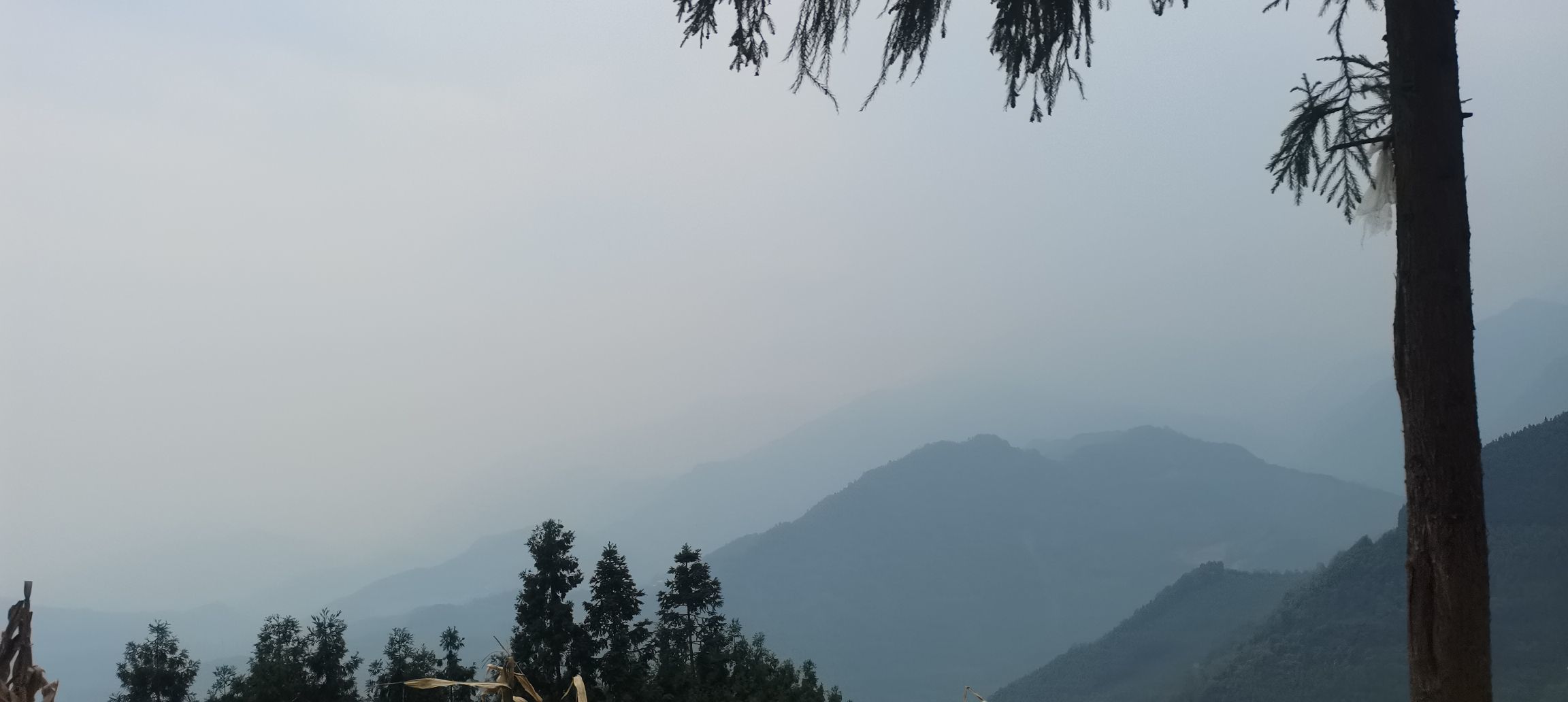 是果果吖的图片