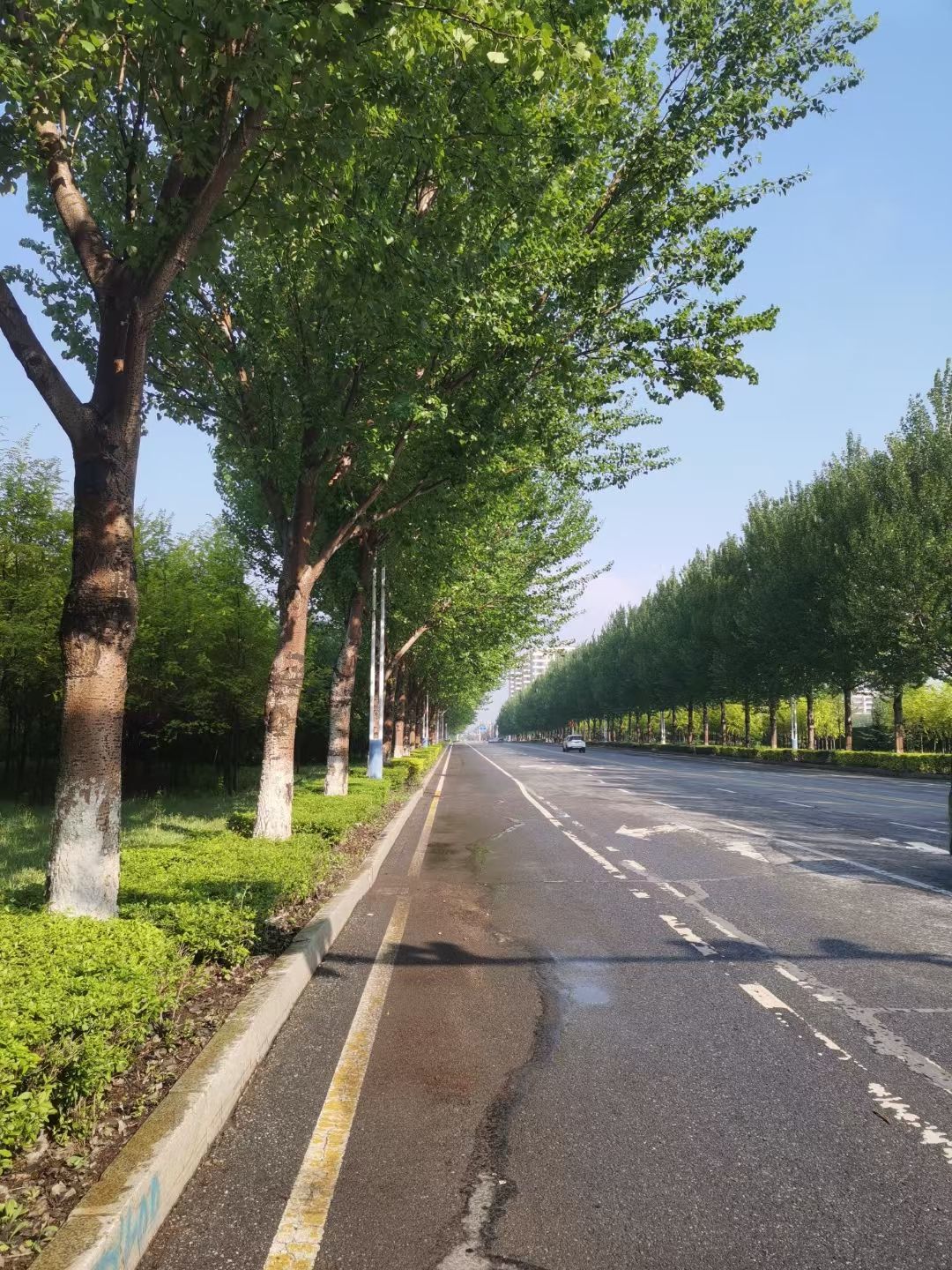 萌**辣主播图片