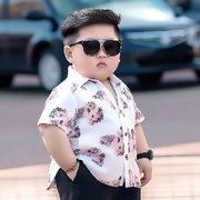 没币的胖小子