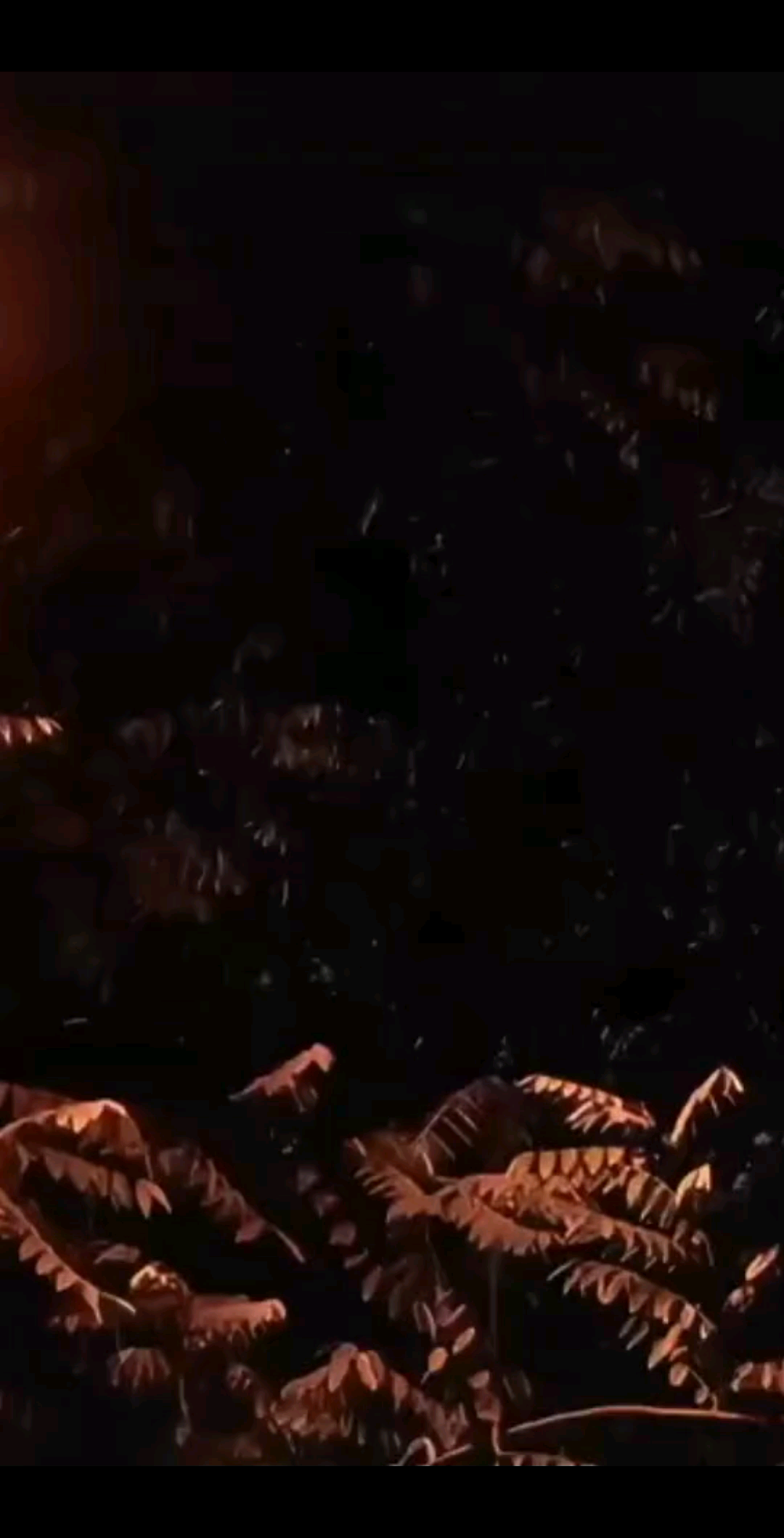 ？？？？？