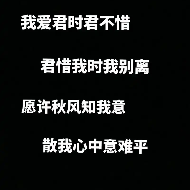 雨夜的叹息海报