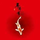 🔥陈雨132307