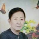 高健bi