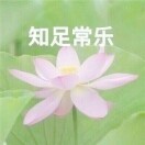 腊梅花开!