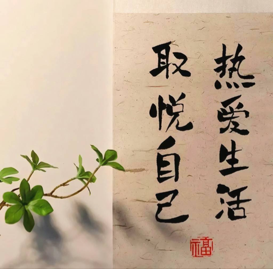 露露🎤海报