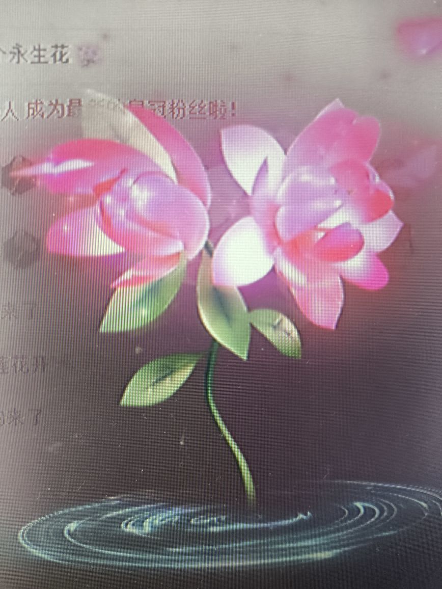 晴儿21的图片