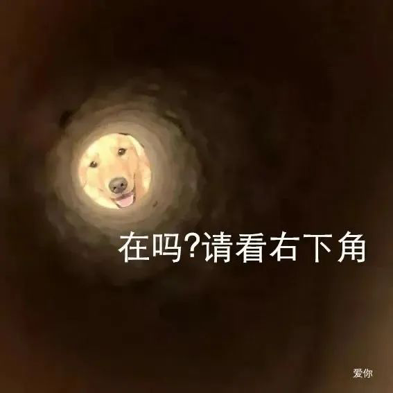 网恋被骗两格电-海报