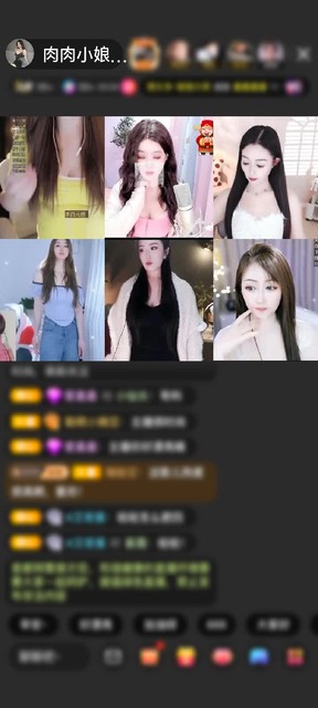 感谢肉肉小娘子专用号赠送打包春天1个
