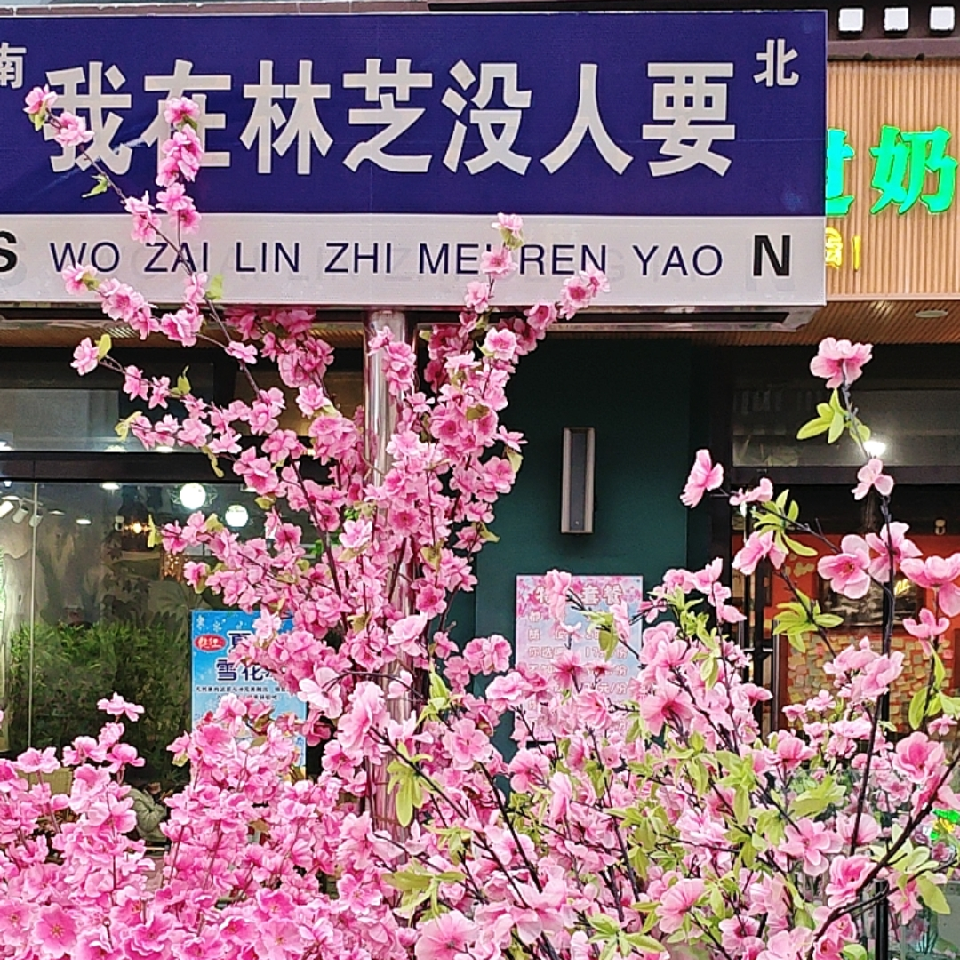 柳无尘海报