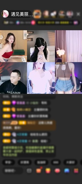 感谢神秘人赠送天空游乐园1个