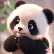 小熊猫🐼KK