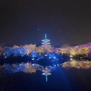 万事随缘-