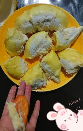 玥儿🌙中午11点~主播照片