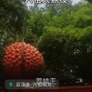 你真好68