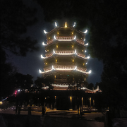 来自伊斯坦布尔的白鹮