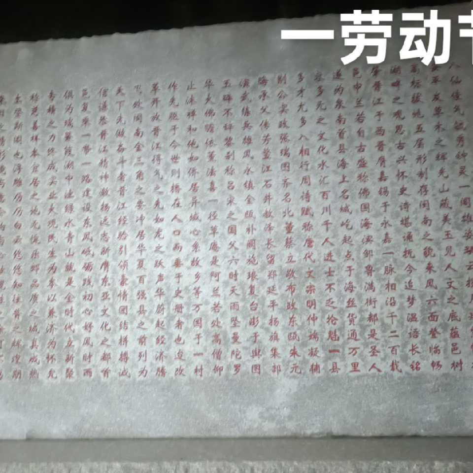 来自伊斯坦布尔的白鹮海报