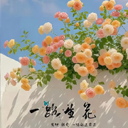 努力向上⏫海报