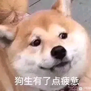 心若菩提💀