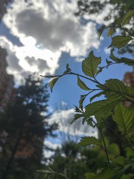 99。唱歌滴主播照片