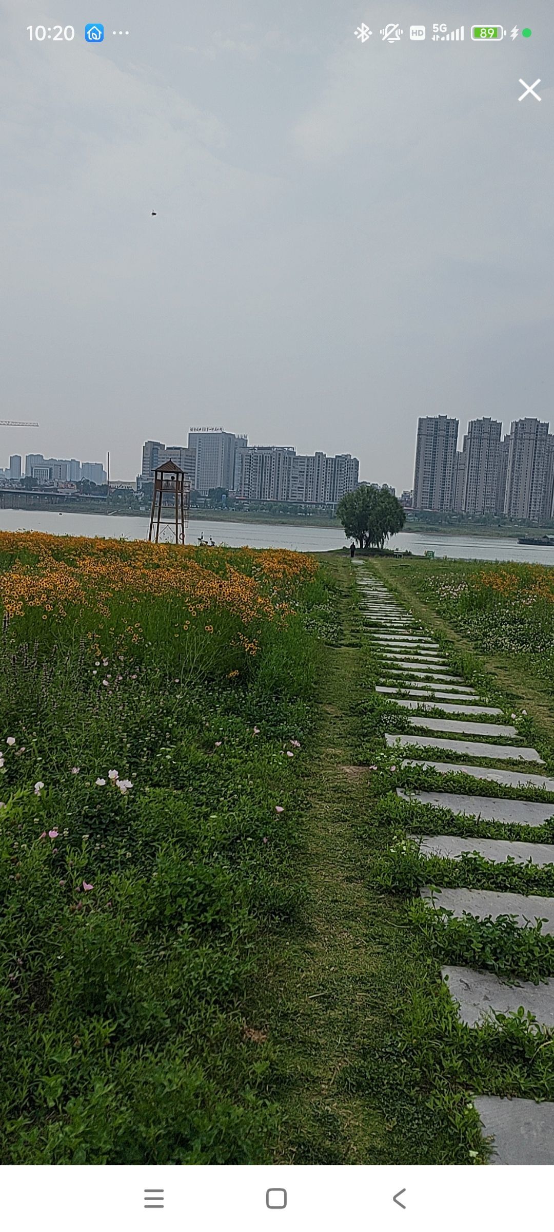 婷💕求过月底任务的图片