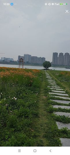 婷婷💕感恩有你陪伴主播照片