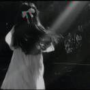 蝴蝶的泪e