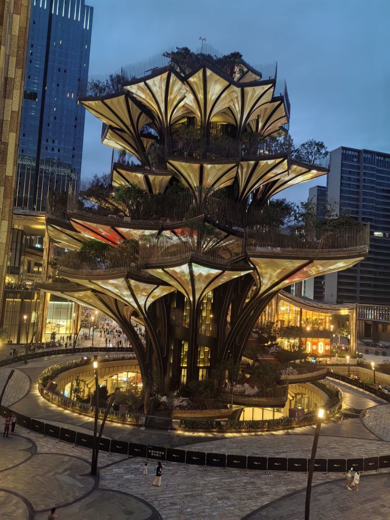 龙飞雁的图片