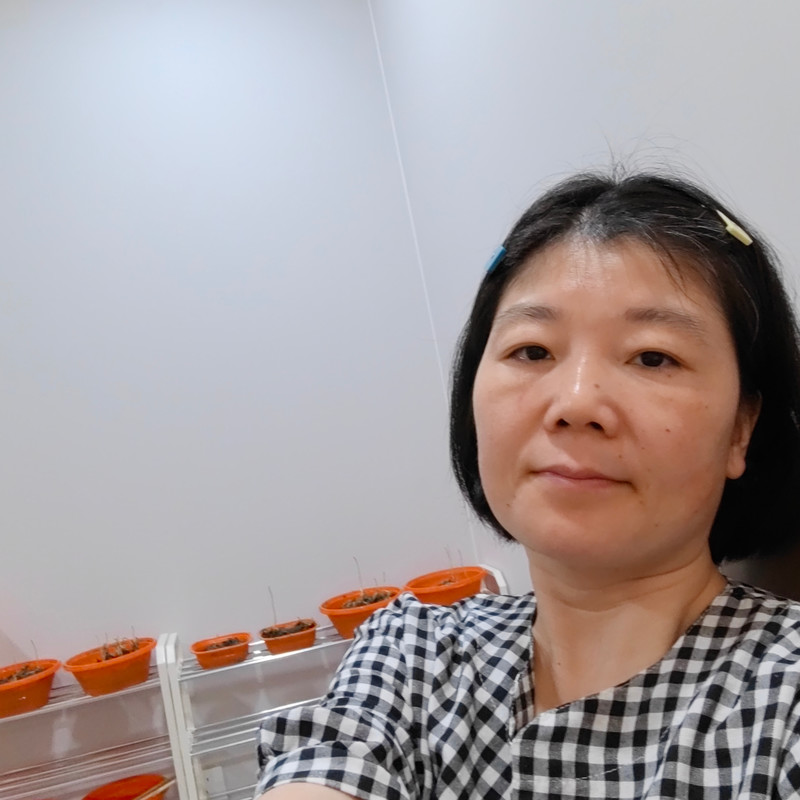 ⊙小洋喜欢唱歌⊙海报