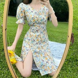 萌新宝宝ZQQort的图片