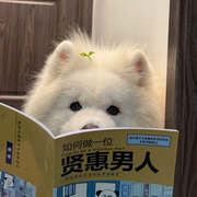 果.-