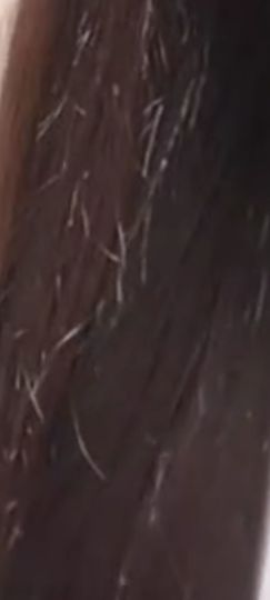 二两桃花醉今生主播照片