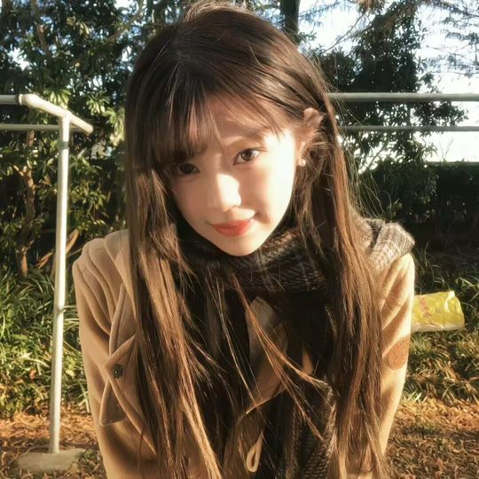 丹丹♥海报