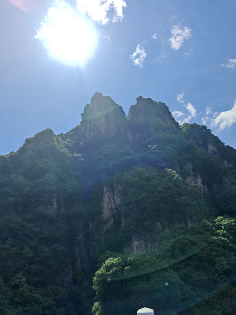 迷你朵朵的图片