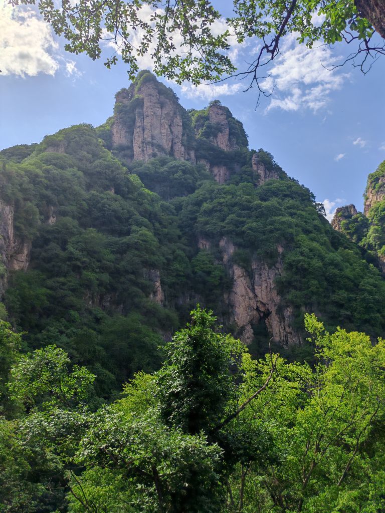 迷你朵朵的图片