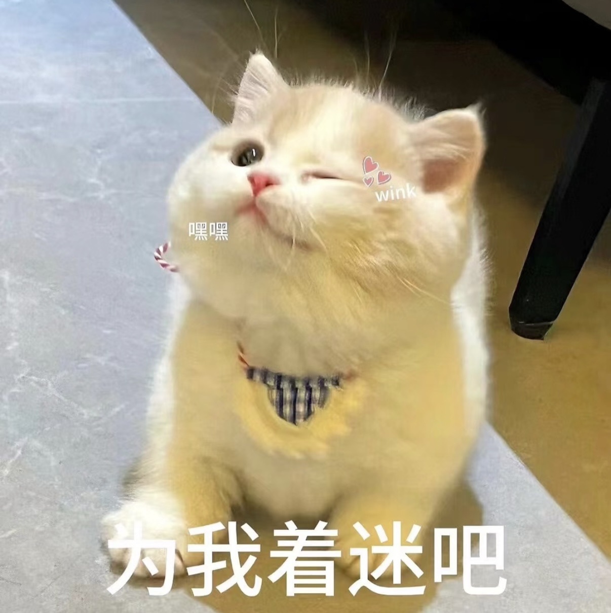 云浅浅koi💗的图片