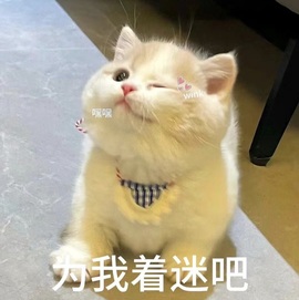 云浅浅koi💗主播照片