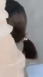 二两桃花醉今生主播图片
